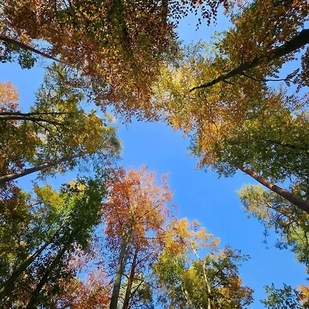 Liebevoll Eingerichtetes